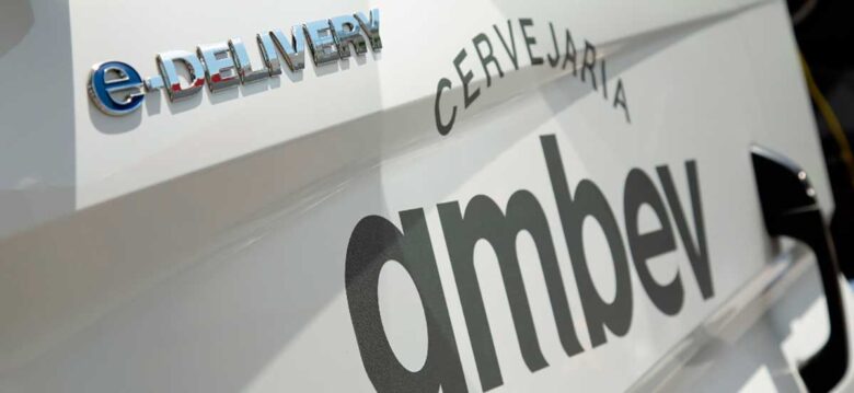 Volkswagen e-Delivery