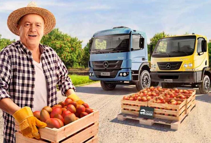 Circuito Ceasa Mercedes-Benz