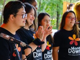 New Holland Construction