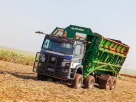 VW Constellation 31.280 8x4