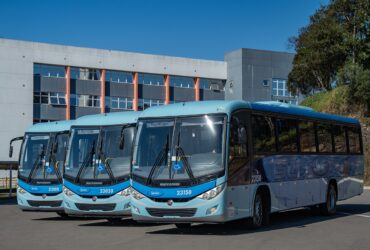 Viação São Luiz reforça frota com chassis Mercedes-Benz