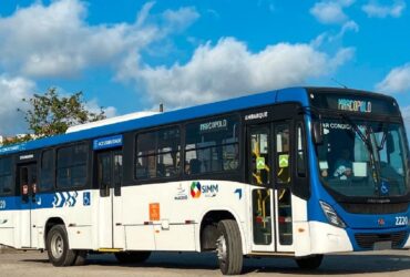Empresa São Francisco renova frota com ônibus Mercedes-Benz
