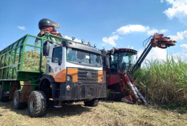 Agronomous VW Constellation 31.280 8x4