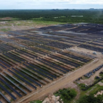 Mercedes-Benz do Brasil e Raízen Power anunciam parceria em projeto de geração de energia fotovoltaica