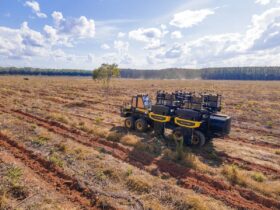 Equipamento integra preparo localizado do solo, plantio, irrigação, fertilização e compactação e alcança cerca de 750 mudas por hora no ciclo completo e 1.300 mudas por hora sem preparo do solo