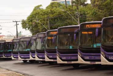 Mercedes-Benz OF 1726 L chega a 115 unidades na frota da MobiBrasil